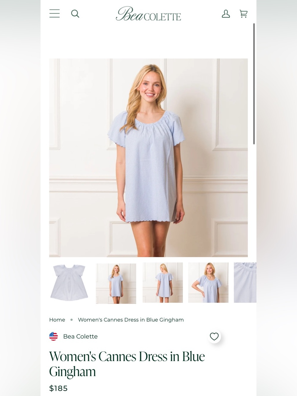 Women's Cannes Dress Chemise in Blue Gingham